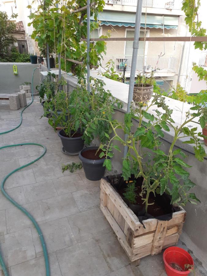 17 Flats And Roof Garden Lejlighed Athen Eksteriør billede