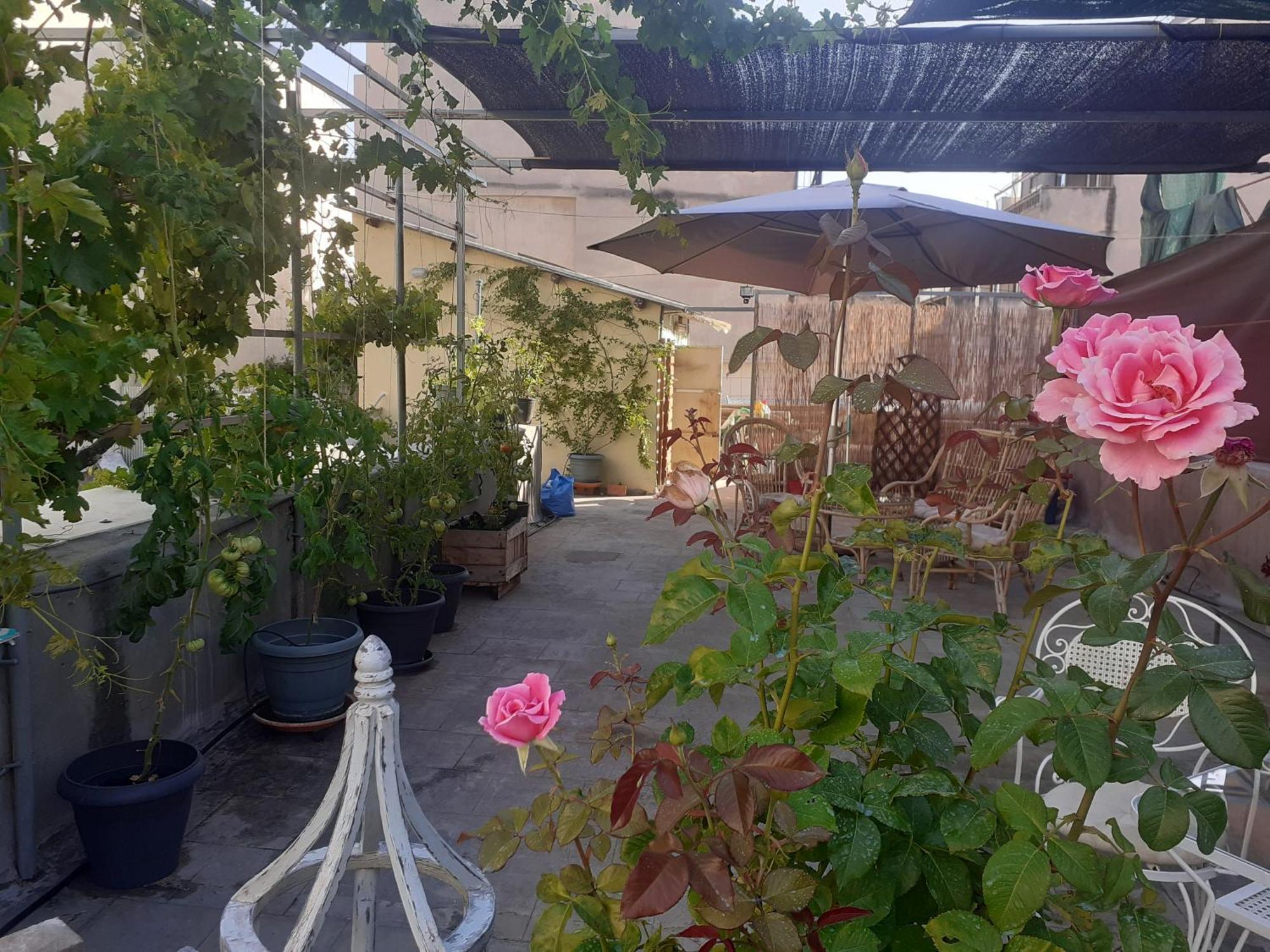 17 Flats And Roof Garden Lejlighed Athen Eksteriør billede